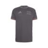 Audi F1 Team F1 2026 Grey T-Shirt