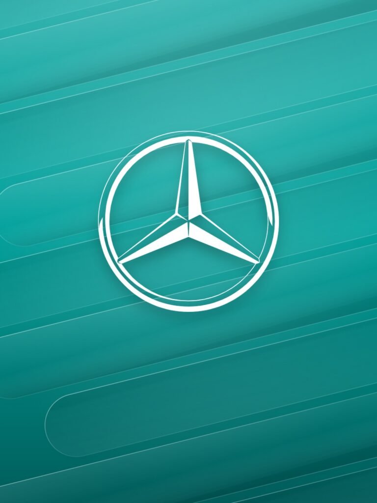 Mercedes team
